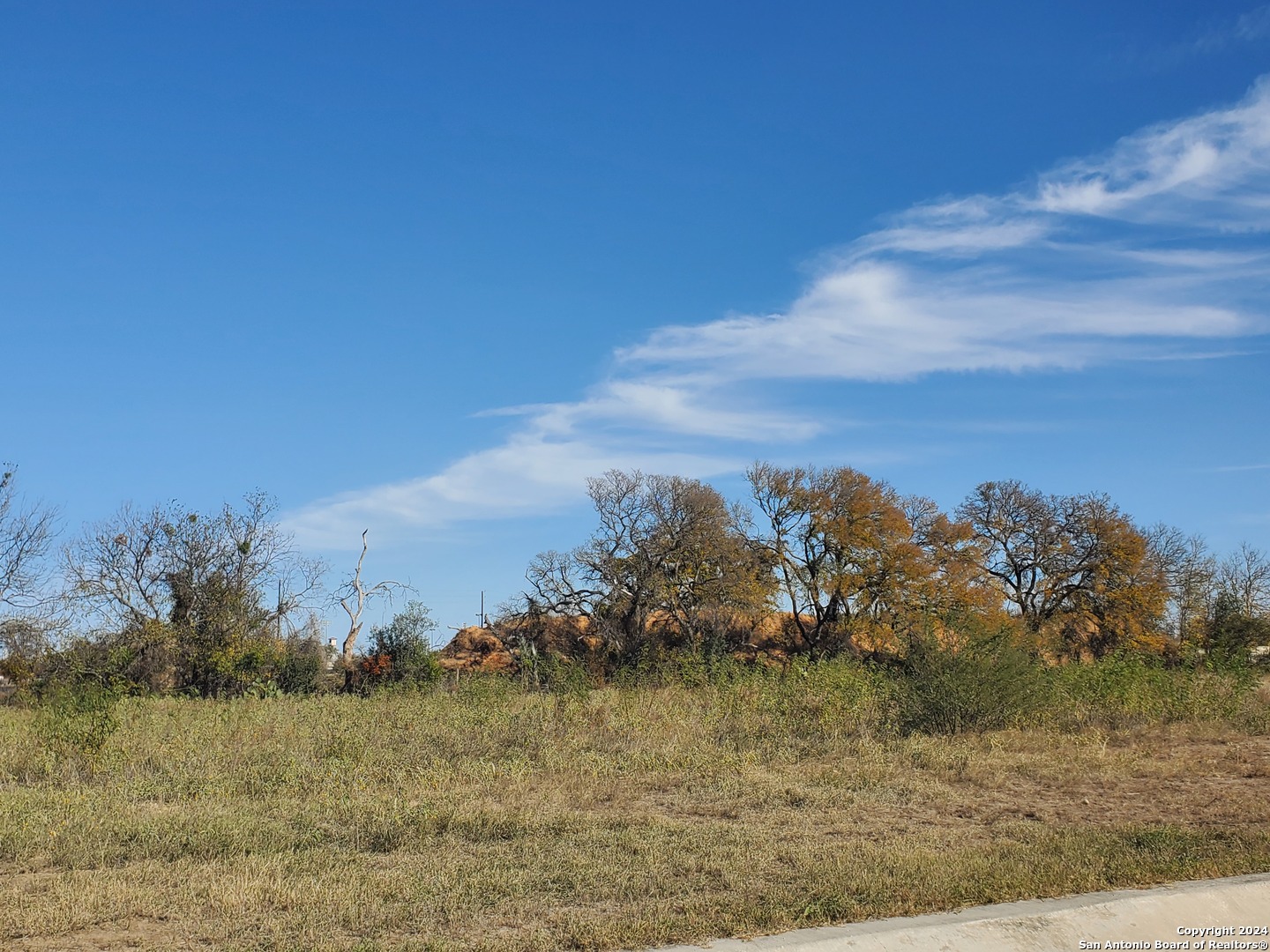 0 Woodcliffe Selma, TX 78154 - Photo 4 of 10 a view of a lake