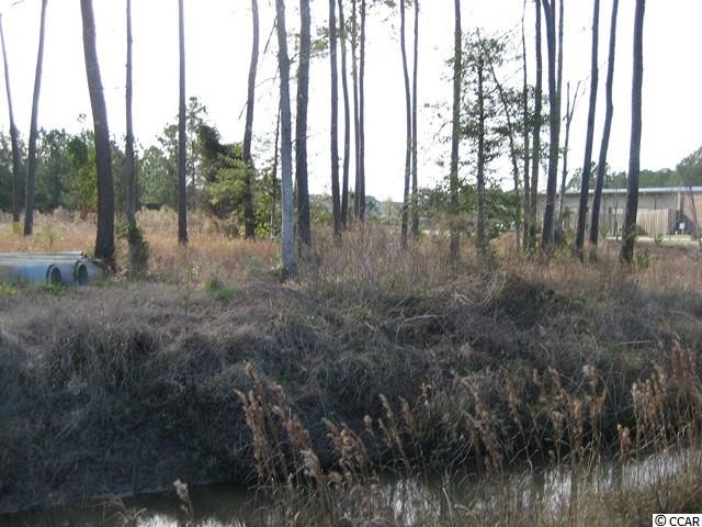 Lot 3 Holmestown Road Myrtle Beach, SC 29588 - Photo 8 of 10 Gallery Image 8