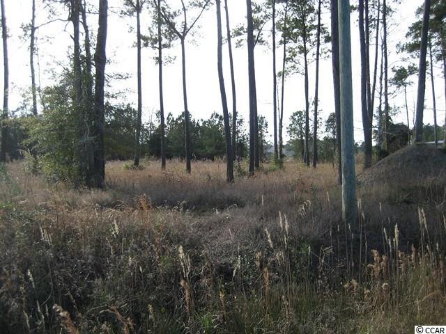 Lot 3 Holmestown Road Myrtle Beach, SC 29588 - Photo 9 of 10 Gallery Image 9