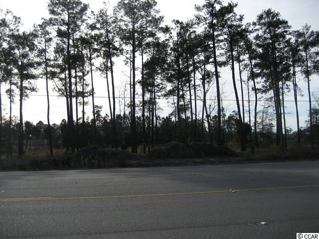 Lot 3 Holmestown Road Myrtle Beach, SC 29588 - Photo 10 of 10 Gallery Image 10