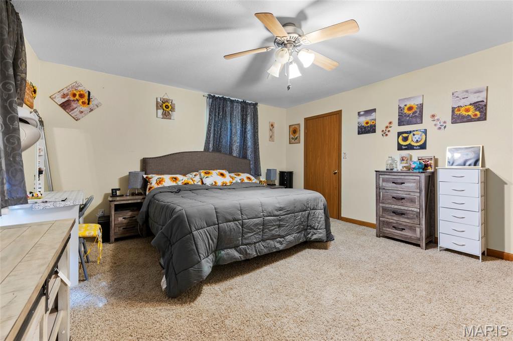 716 Springfield Road Gillespie, IL 62033 - Photo 17 of 33
