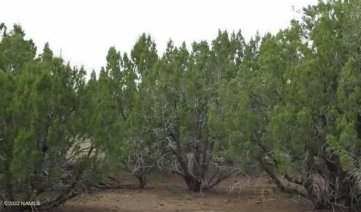 1444 East Broken Wheel Road, Unit 581 Williams, AZ 86046 - Photo 2 of 2 Broken Wheel