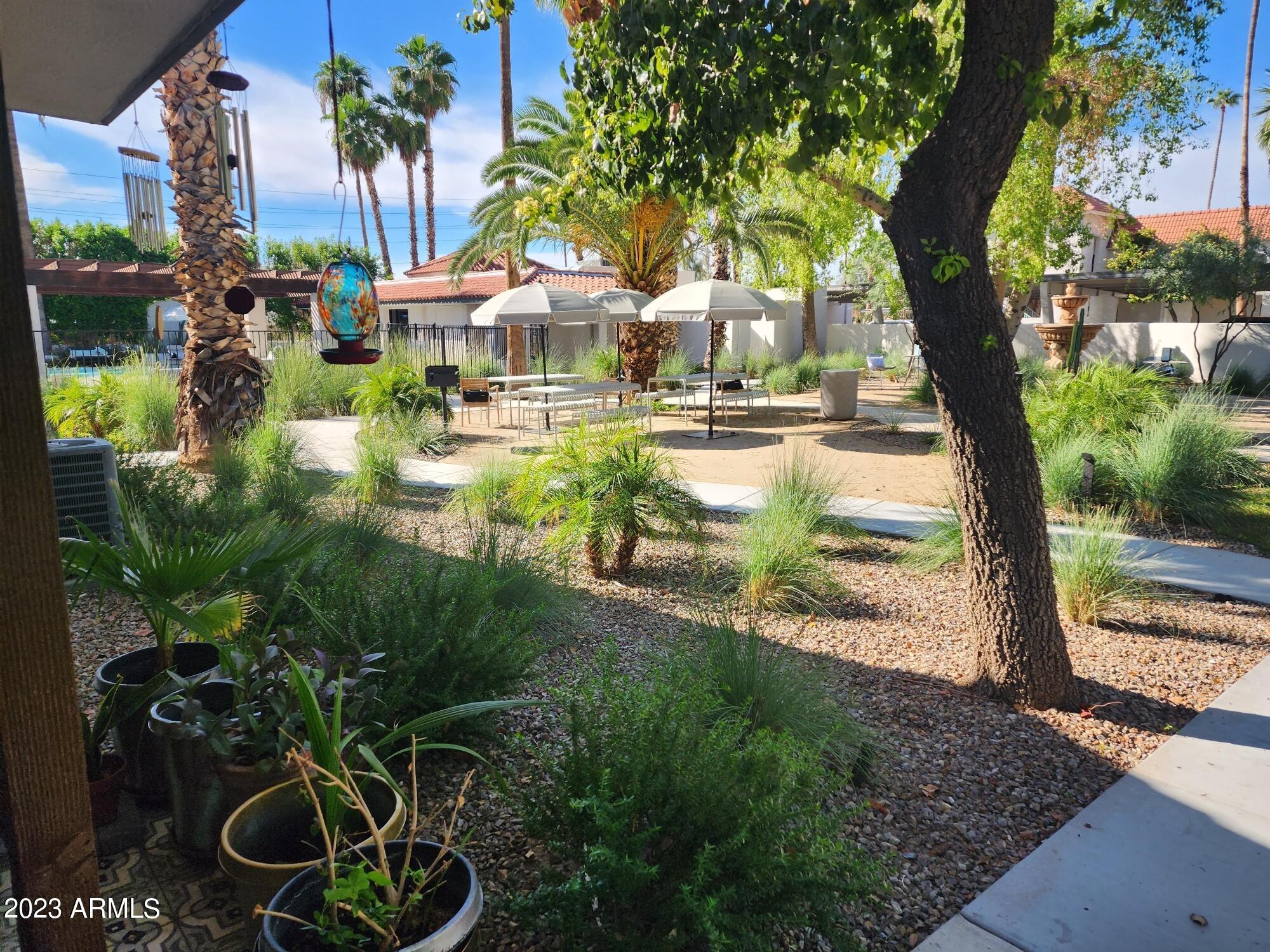 4301 North 24th Street, Unit 2 Phoenix, AZ 85016 - Photo 9 of 9 Courtyard