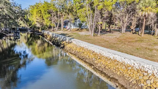 a view of a lake with a trees