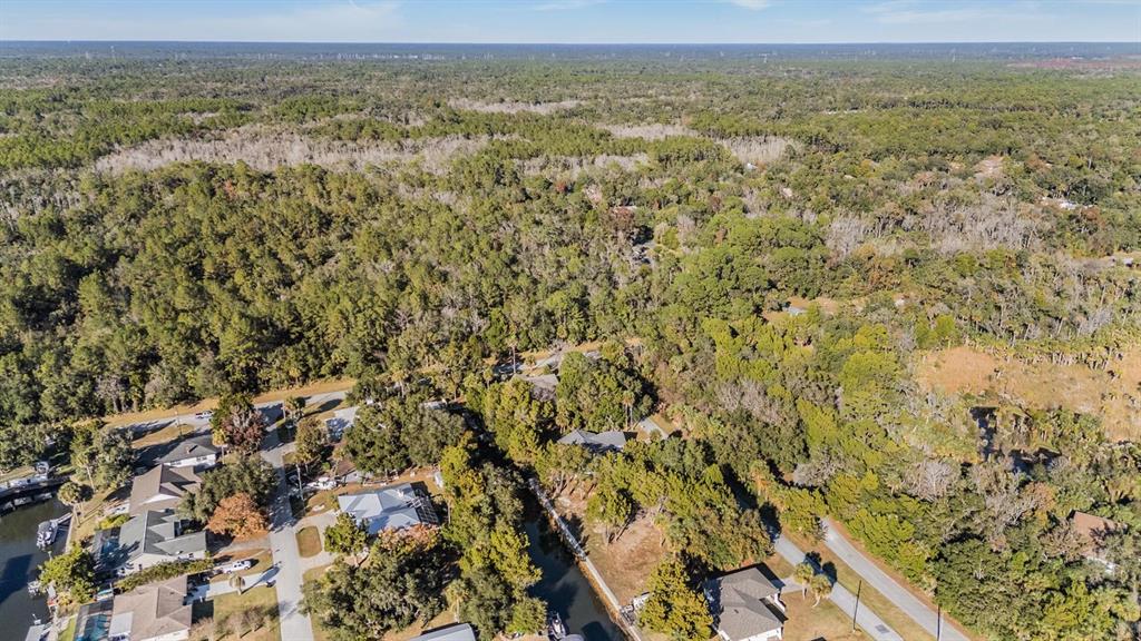 3924 North Apalachee Point Crystal River, FL 34428 - Photo 15 of 20 a view of a field with a lush green forest