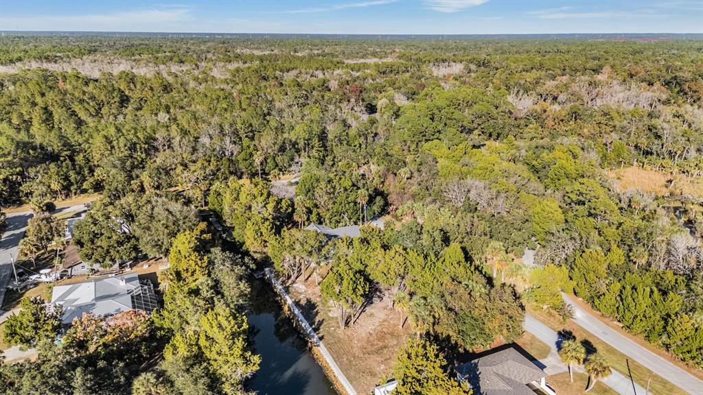 3924 North Apalachee Point Crystal River, FL 34428 - Photo 16 of 20 a view of a city with an ocean view