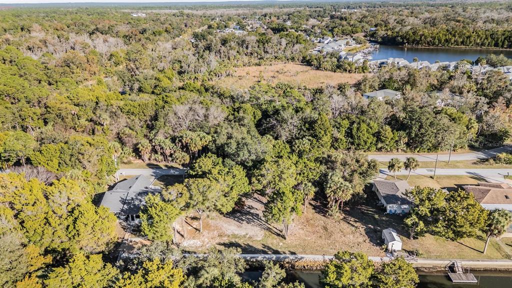 3924 North Apalachee Point Crystal River, FL 34428 - Photo 17 of 20 a view of a lake with mountain
