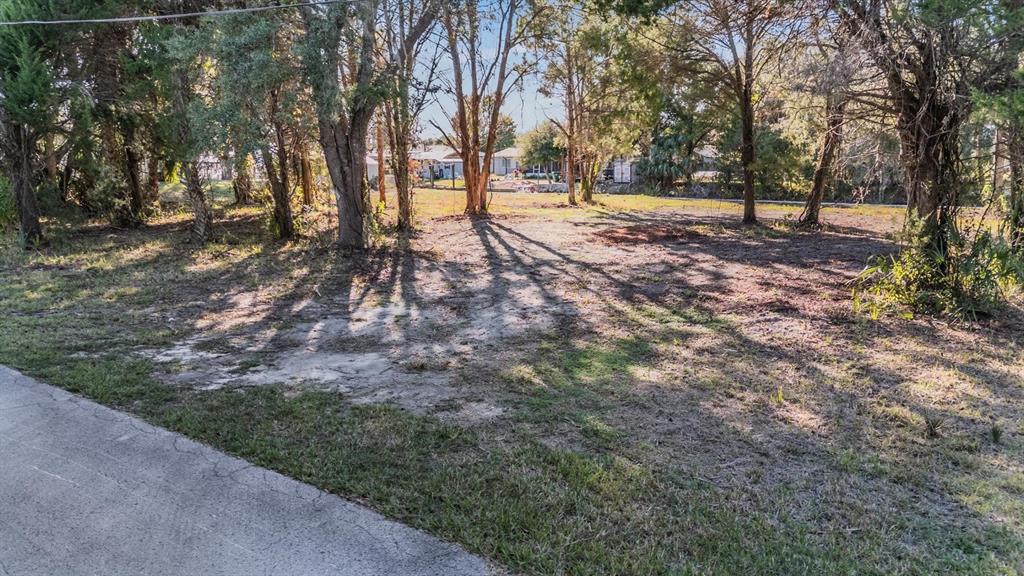 3924 North Apalachee Point Crystal River, FL 34428 - Photo 2 of 20 a view of road with trees
