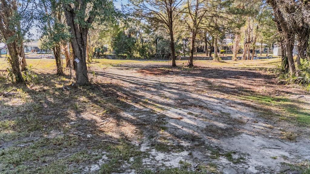 3924 North Apalachee Point Crystal River, FL 34428 - Photo 3 of 20 a view of a yard with trees