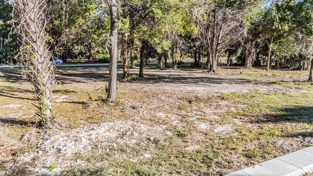 3924 North Apalachee Point Crystal River, FL 34428 - Photo 4 of 20 a view of outdoor space with trees