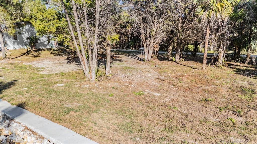 3924 North Apalachee Point Crystal River, FL 34428 - Photo 6 of 20 a view of outdoor space with trees