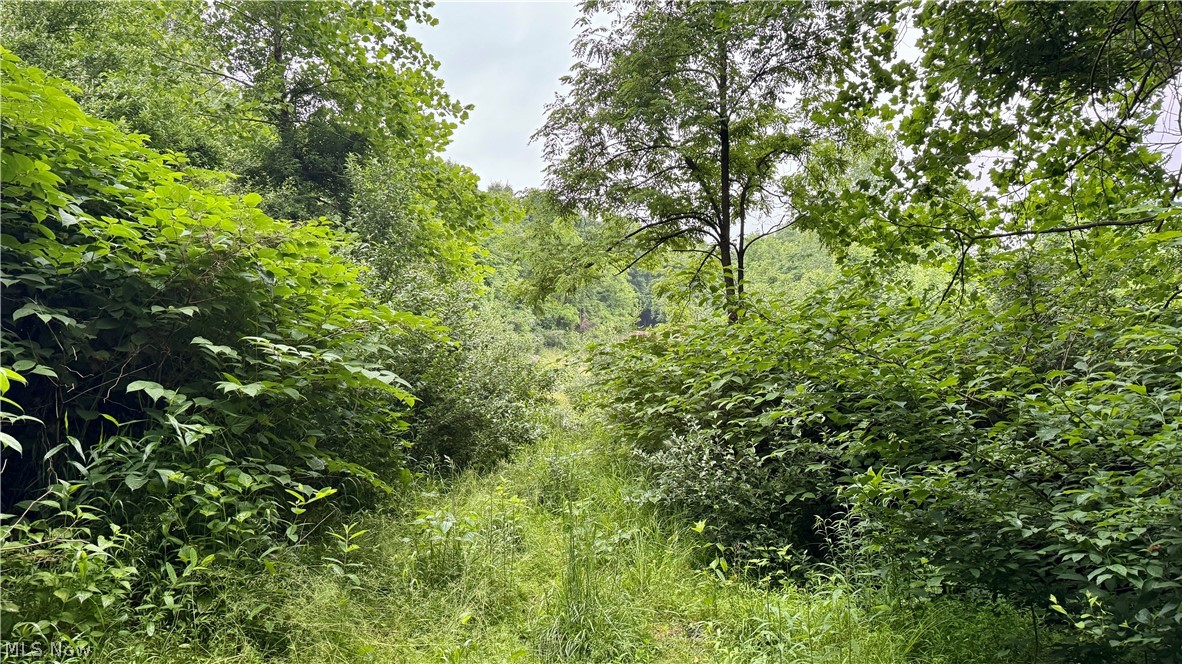 Marlott Run Road Kimbolton, OH 43749 - Photo 5 of 49