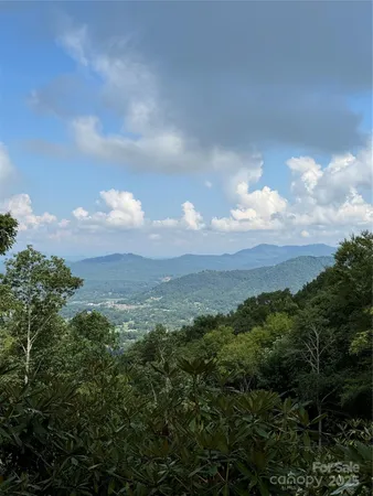 a view of a city with lush green forest