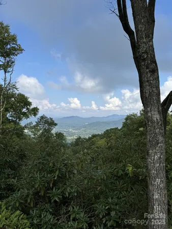 a view of a yard