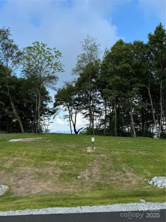 a view of a field with trees in the background