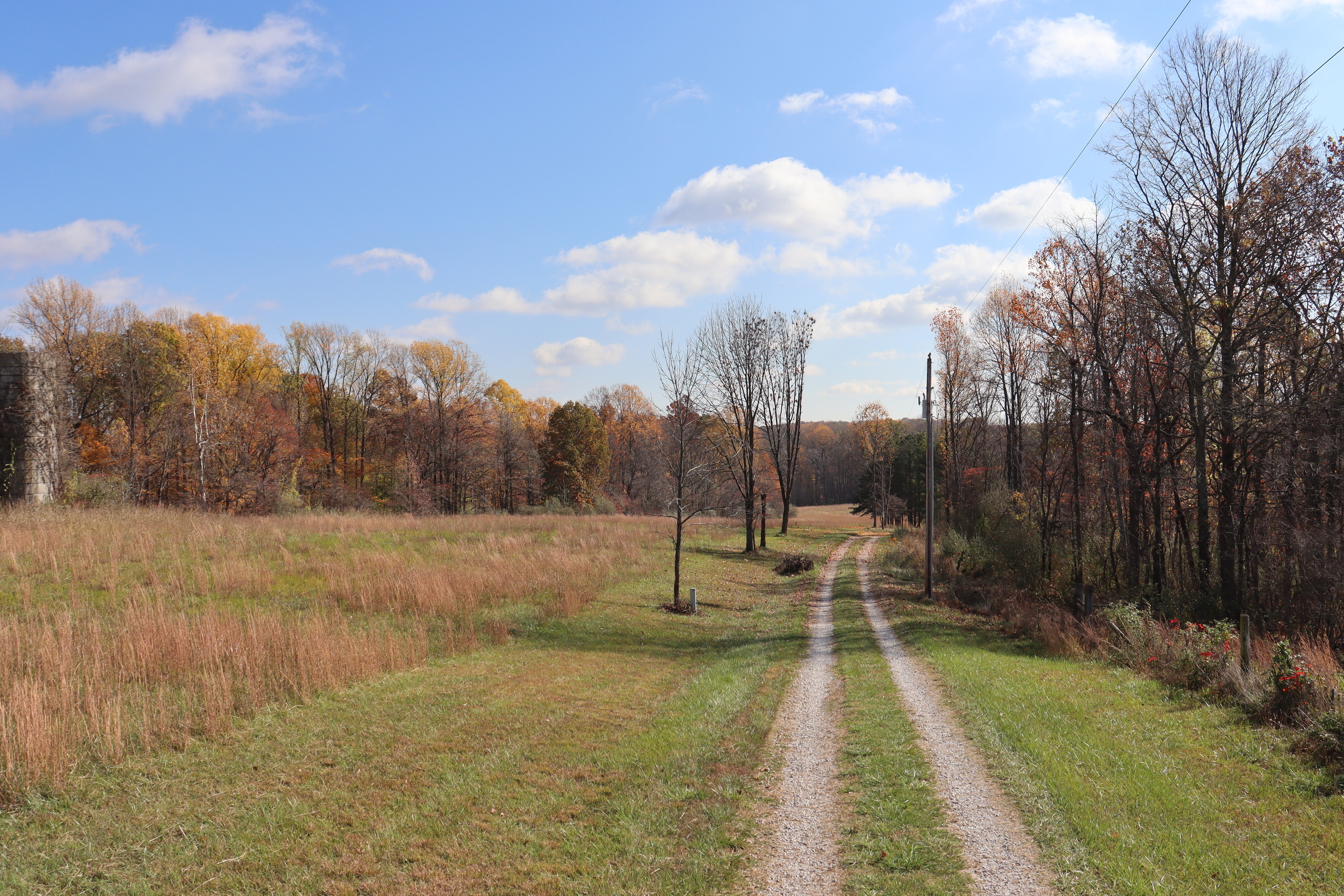 8002 Neill Road Bloomfield, IN 47424 - Photo 12 of 98