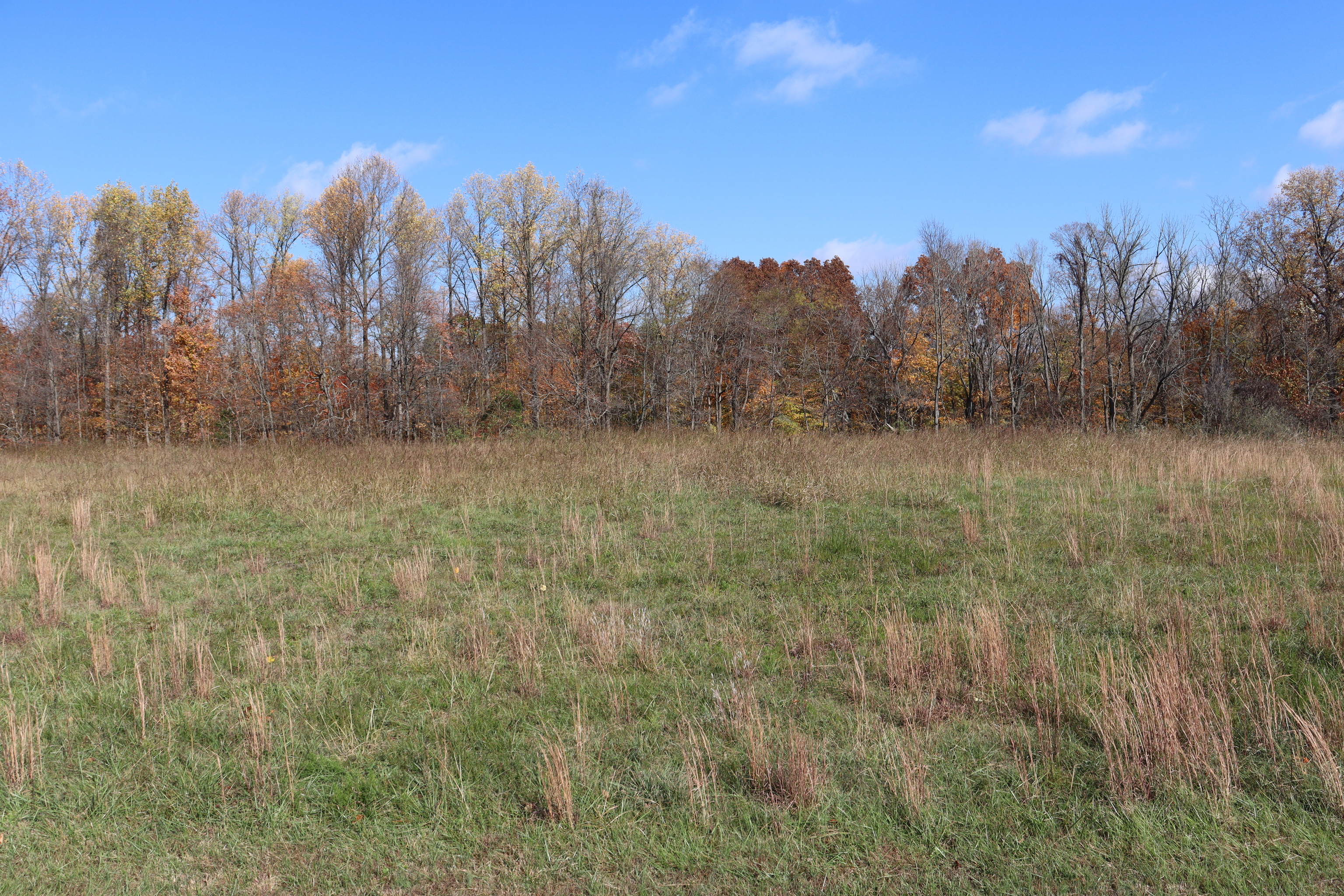 8002 Neill Road Bloomfield, IN 47424 - Photo 13 of 98