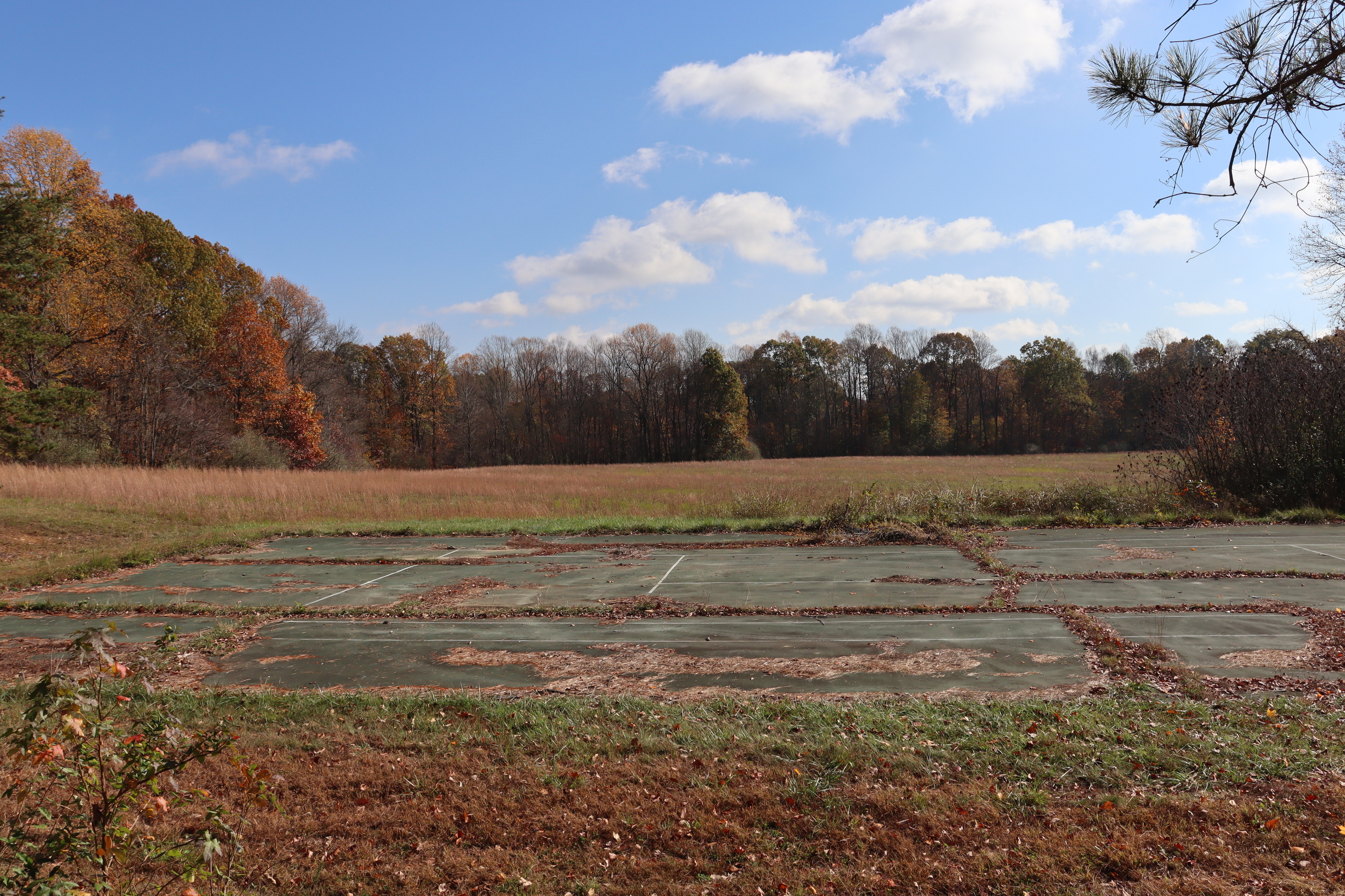 8002 Neill Road Bloomfield, IN 47424 - Photo 14 of 98