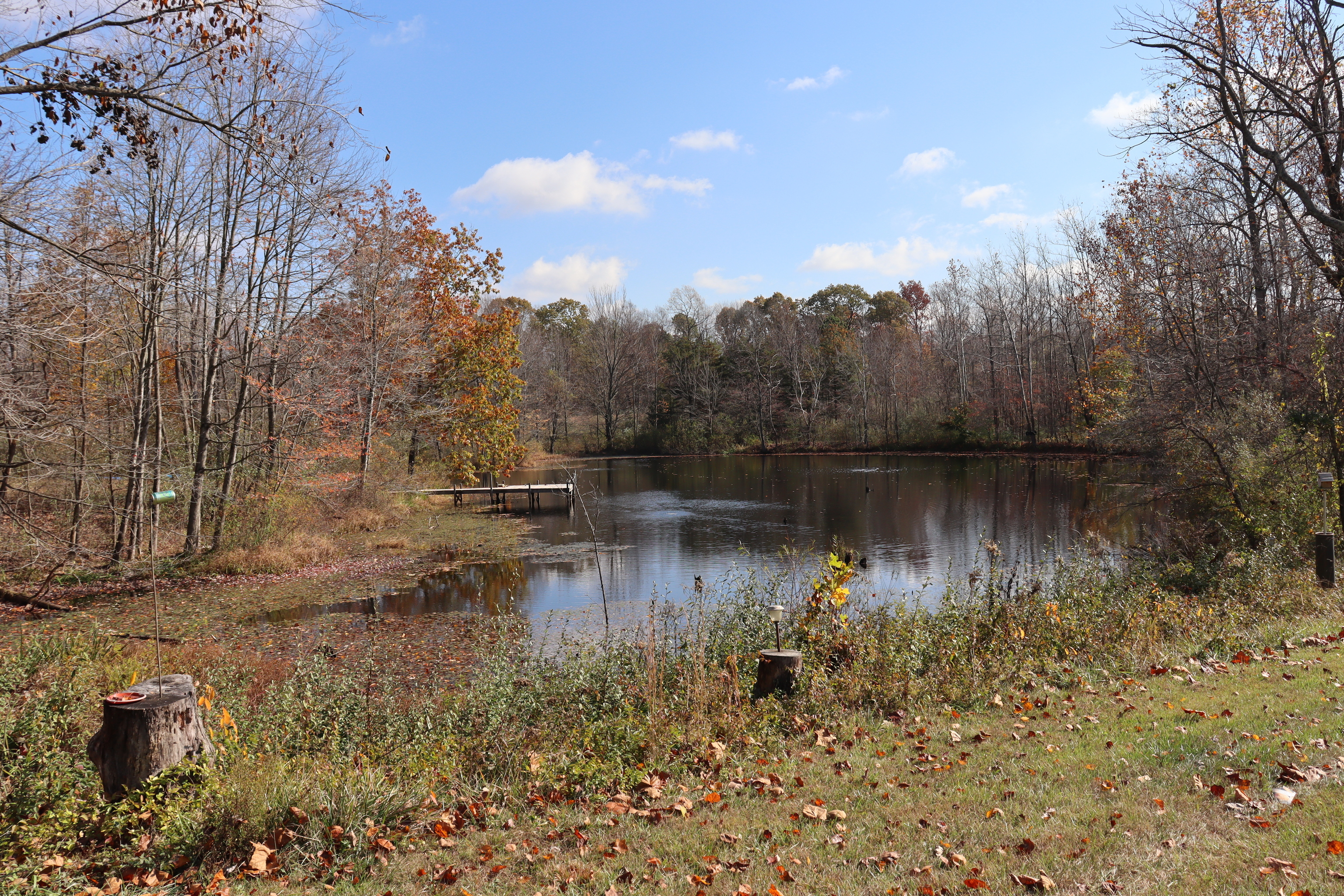 8002 Neill Road Bloomfield, IN 47424 - Photo 18 of 98