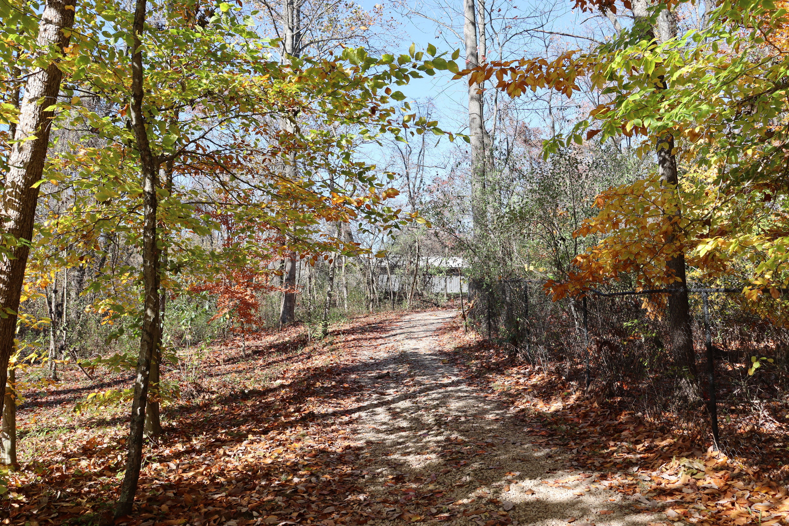 8002 Neill Road Bloomfield, IN 47424 - Photo 60 of 98