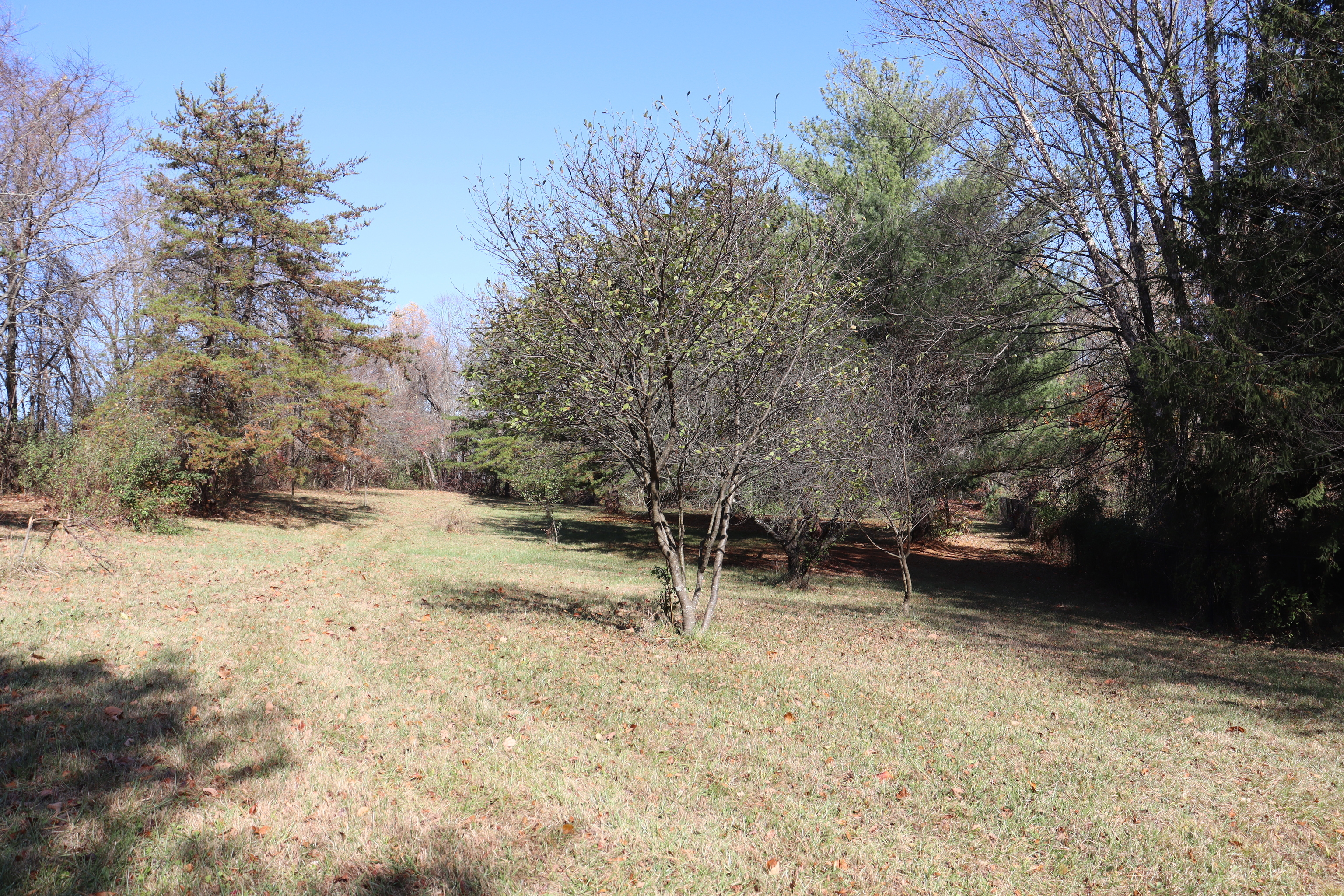 8002 Neill Road Bloomfield, IN 47424 - Photo 64 of 98