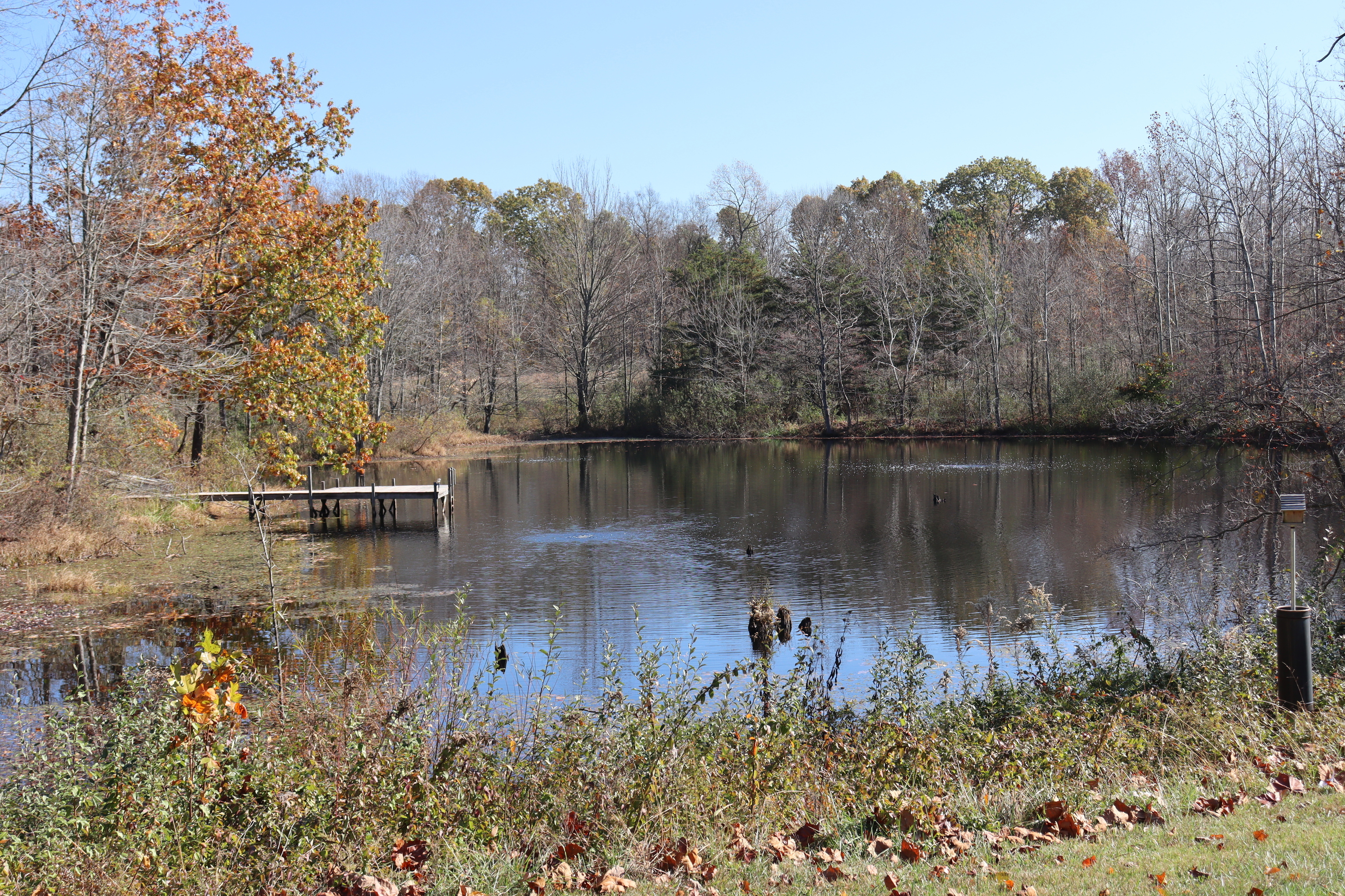 8002 Neill Road Bloomfield, IN 47424 - Photo 66 of 98