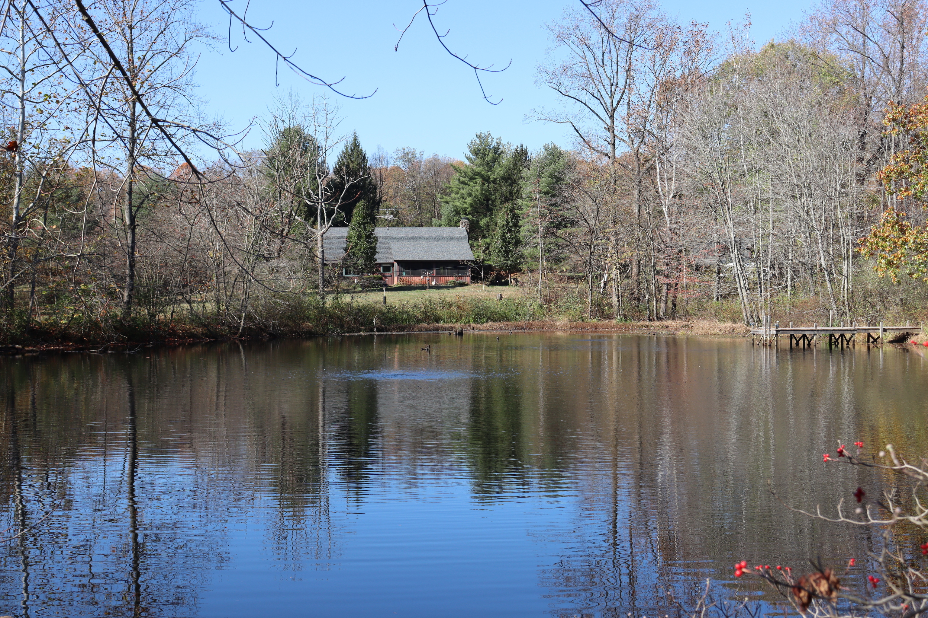 8002 Neill Road Bloomfield, IN 47424 - Photo 67 of 98