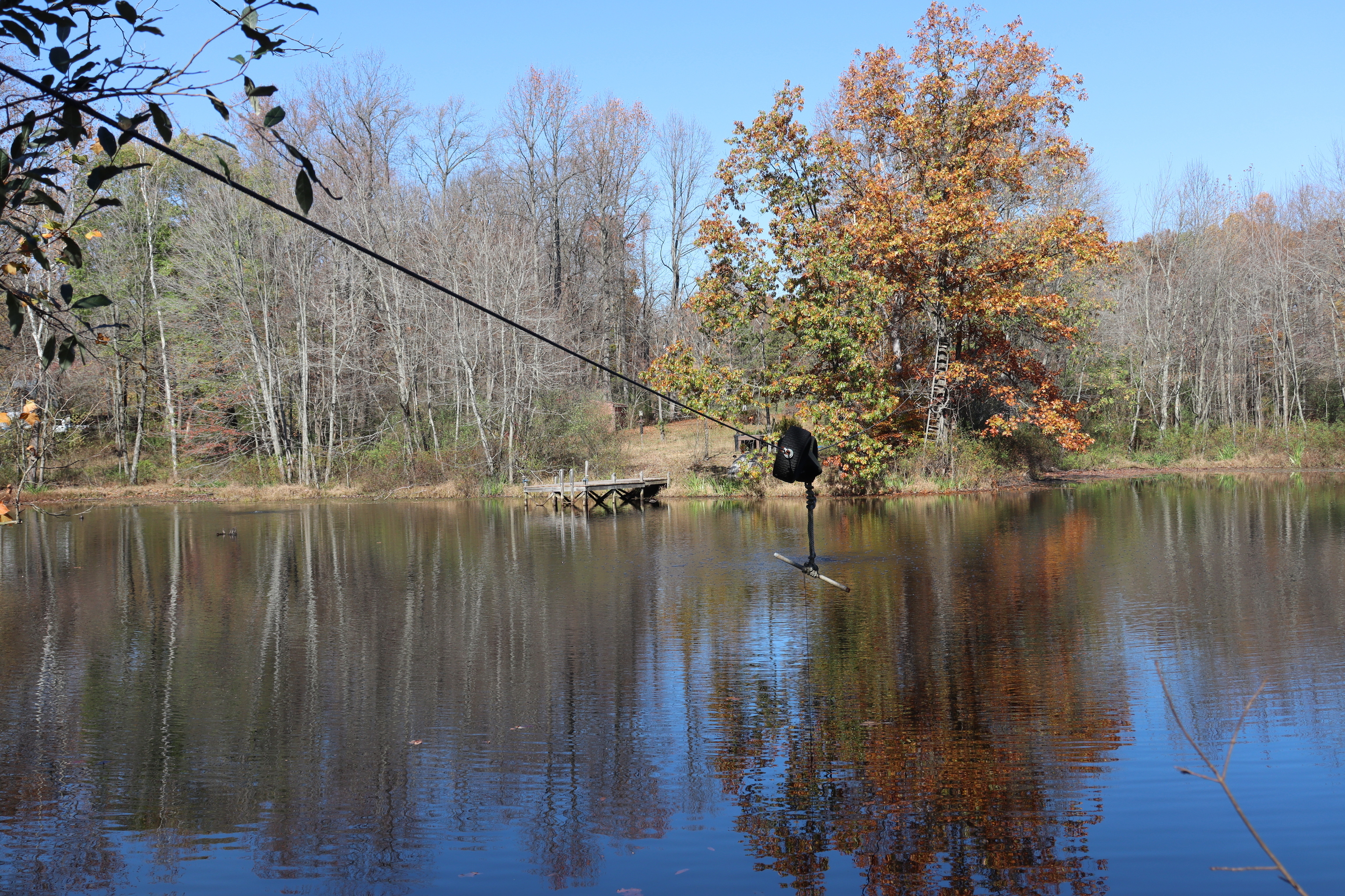8002 Neill Road Bloomfield, IN 47424 - Photo 68 of 98
