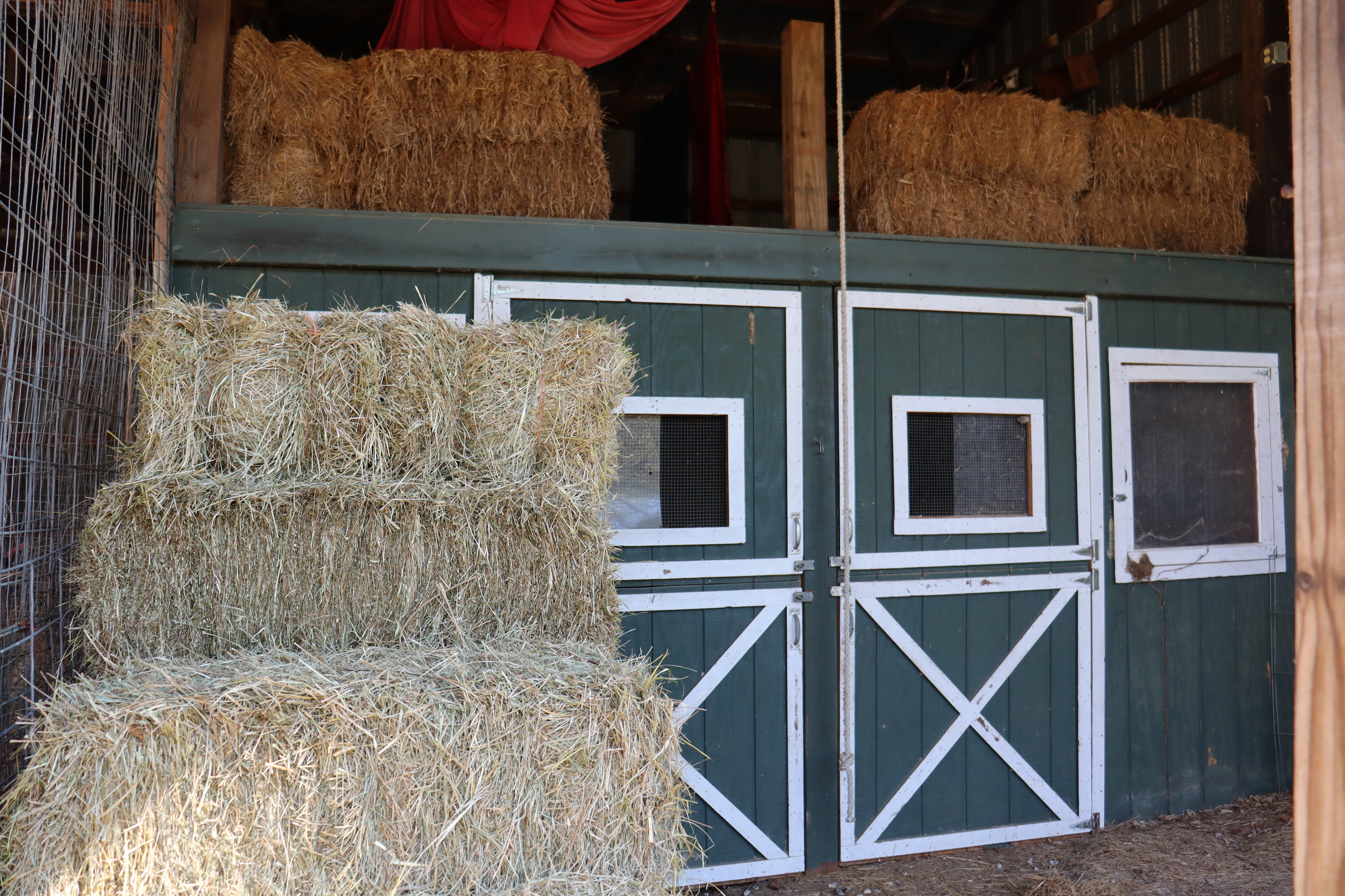 8002 Neill Road Bloomfield, IN 47424 - Photo 72 of 98