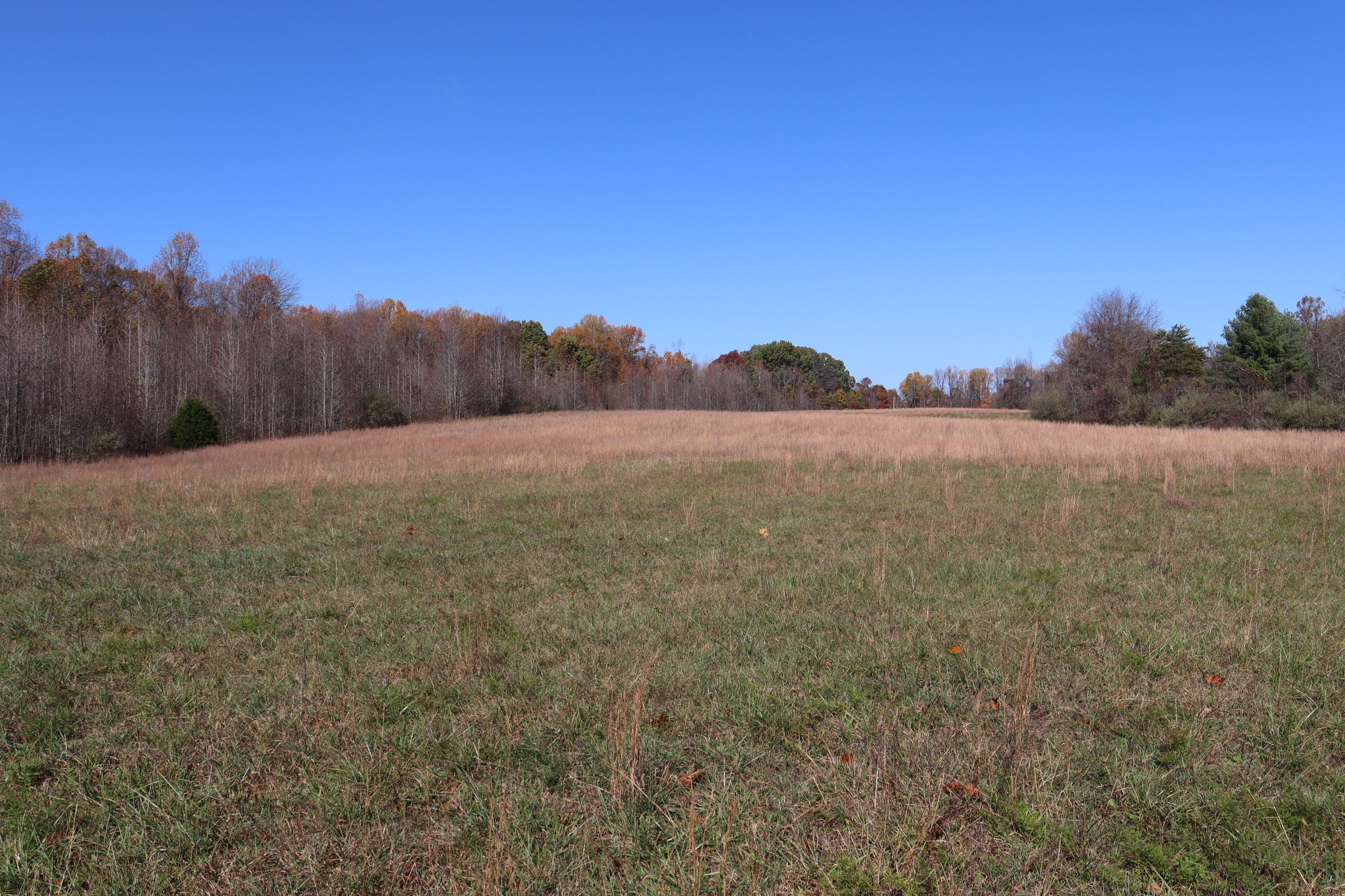 8002 Neill Road Bloomfield, IN 47424 - Photo 73 of 98