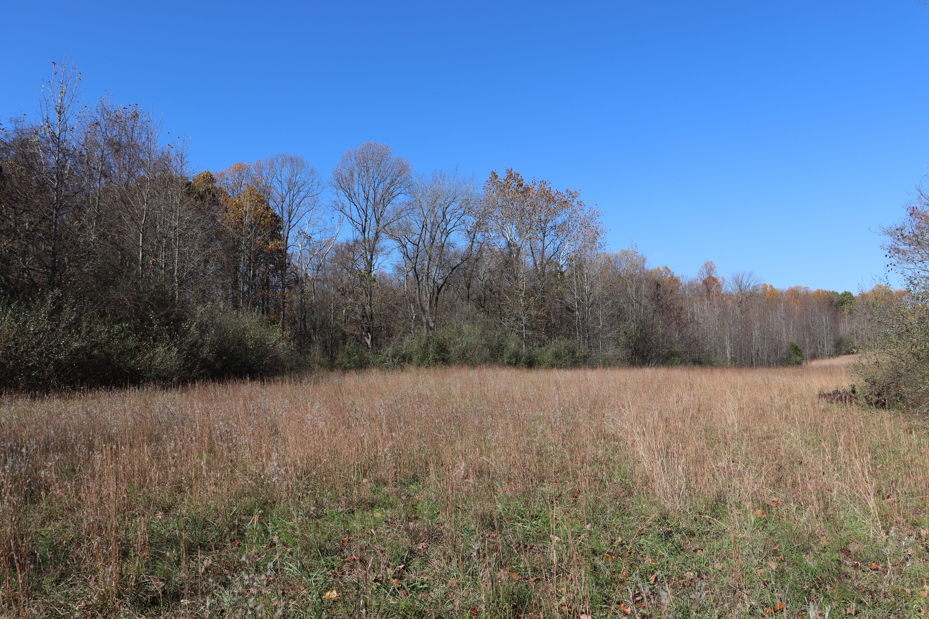 8002 Neill Road Bloomfield, IN 47424 - Photo 76 of 98