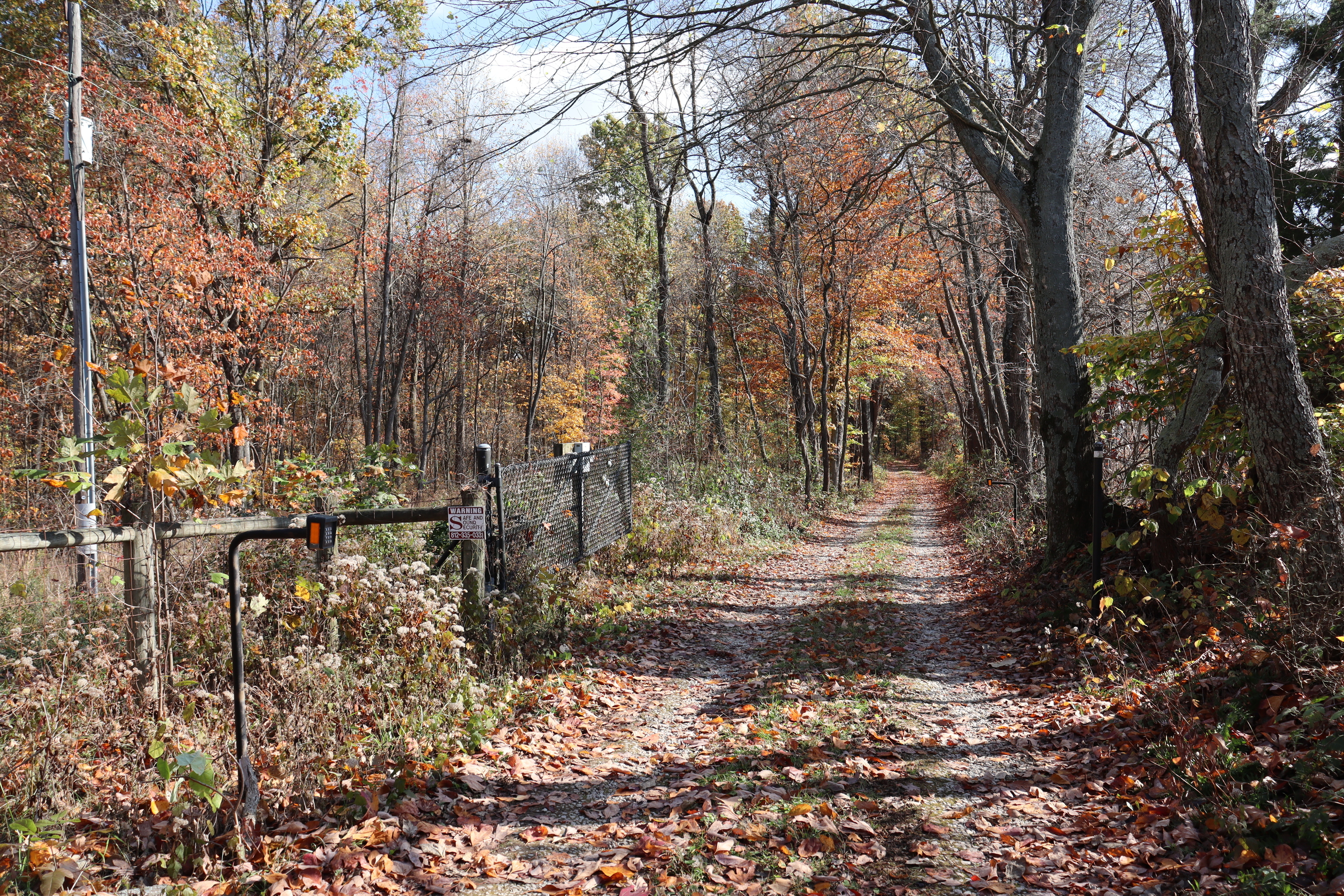 8002 Neill Road Bloomfield, IN 47424 - Photo 8 of 98