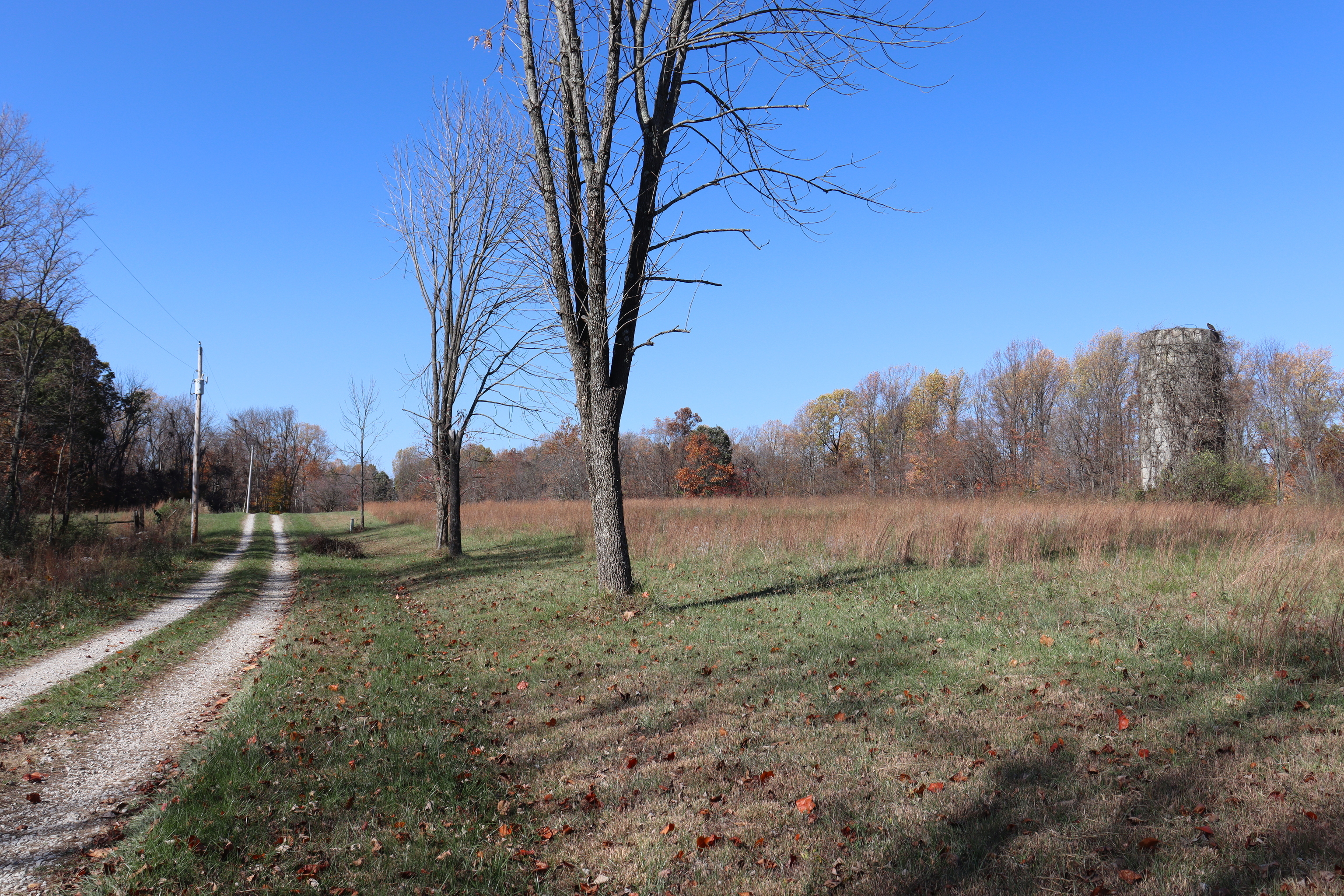 8002 Neill Road Bloomfield, IN 47424 - Photo 83 of 98