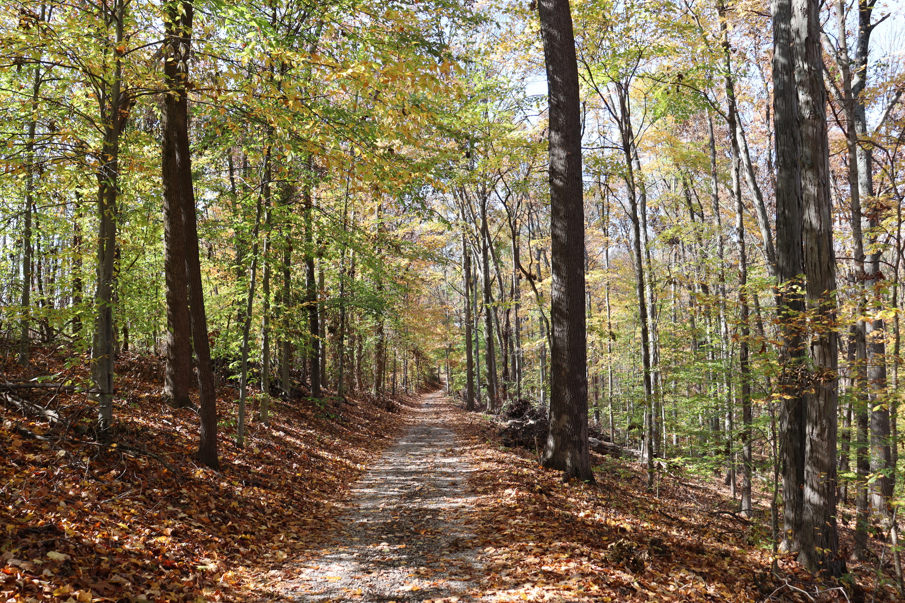 8002 Neill Road Bloomfield, IN 47424 - Photo 84 of 98