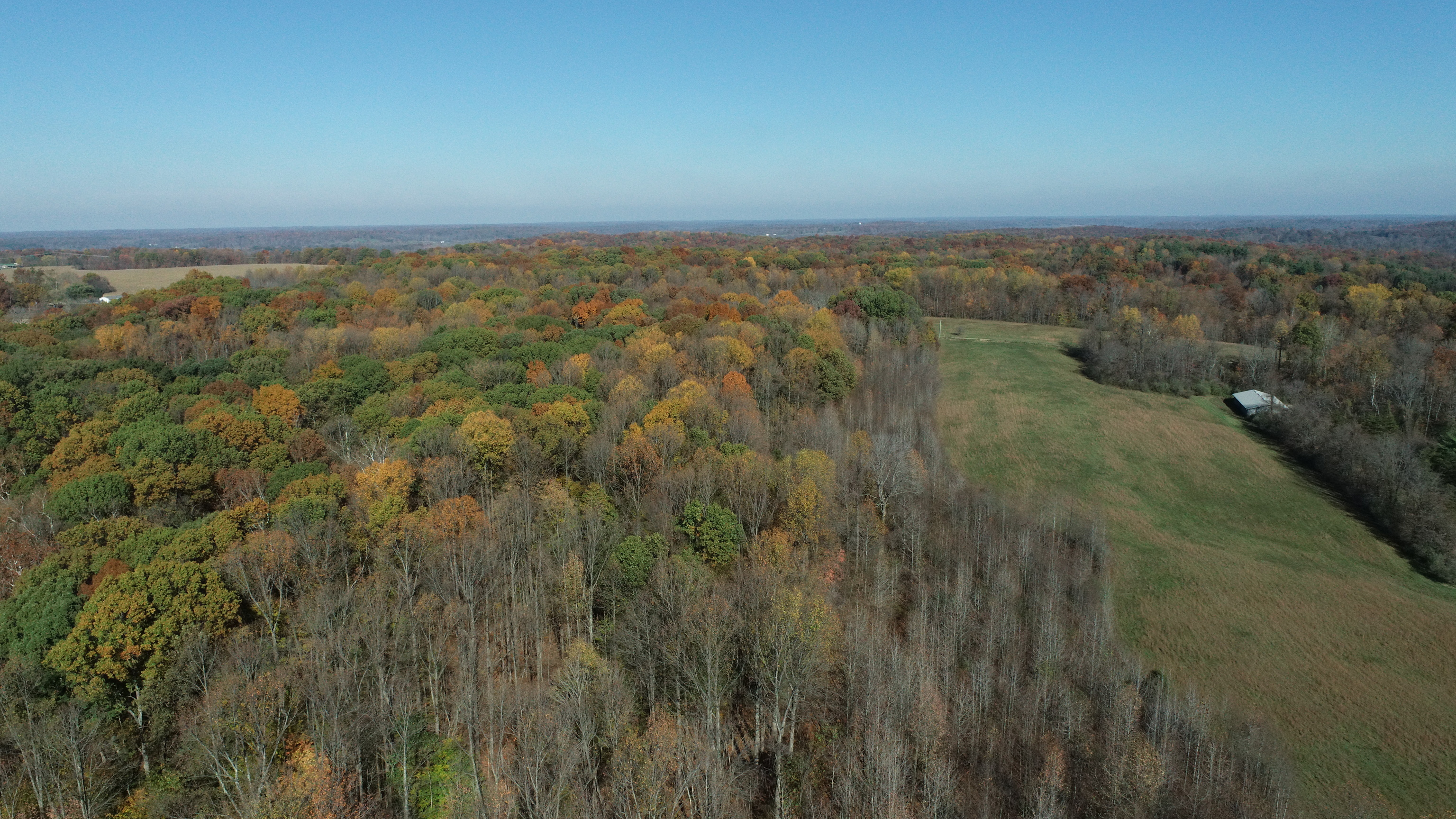 8002 Neill Road Bloomfield, IN 47424 - Photo 89 of 98