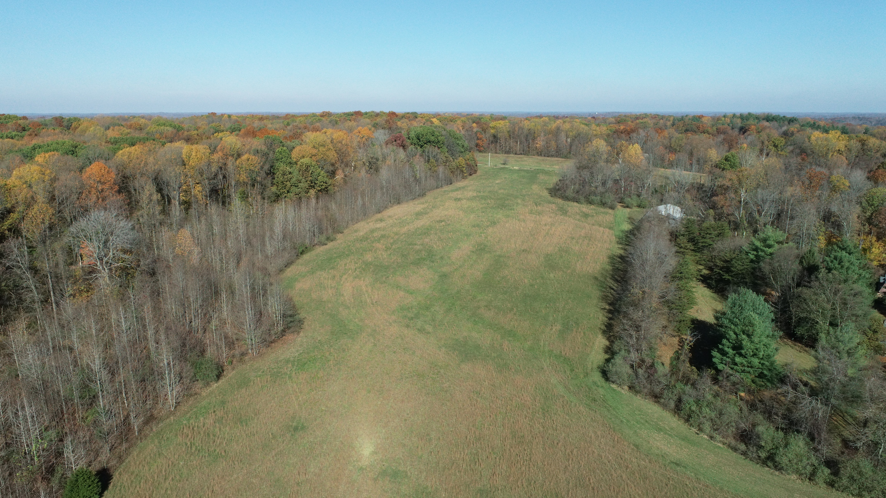 8002 Neill Road Bloomfield, IN 47424 - Photo 91 of 98