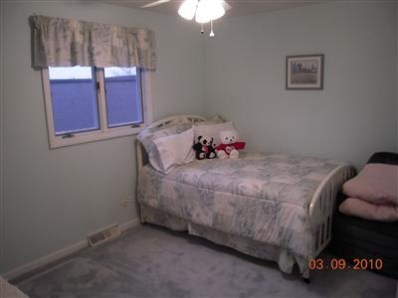 823 Old Beach Road Dyer, IN 46311 - Photo 7 of 9 a bedroom with a bed and a chandelier