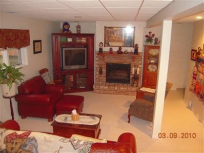 823 Old Beach Road Dyer, IN 46311 - Photo 9 of 9 a living room with furniture a fireplace and a flat screen tv