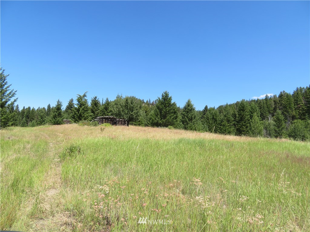 6 Bonaparte Run Road Tonasket, WA 98855 - Photo 1 of 4 Gallery Image 1