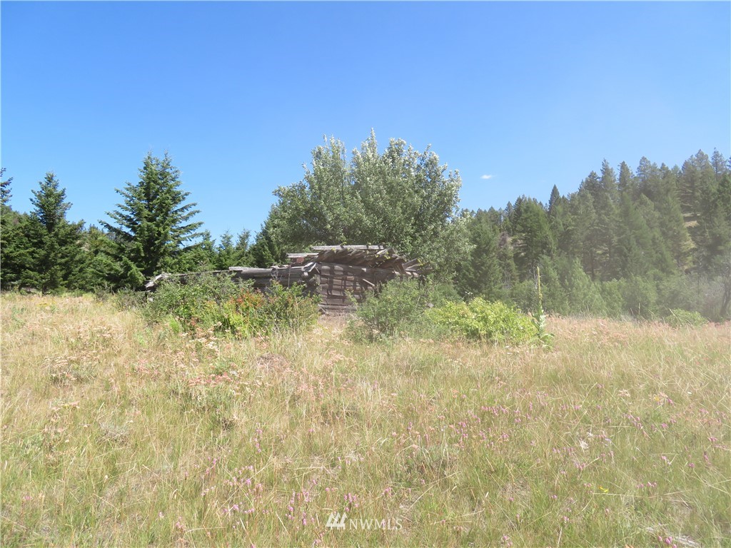 6 Bonaparte Run Road Tonasket, WA 98855 - Photo 2 of 4 Gallery Image 2