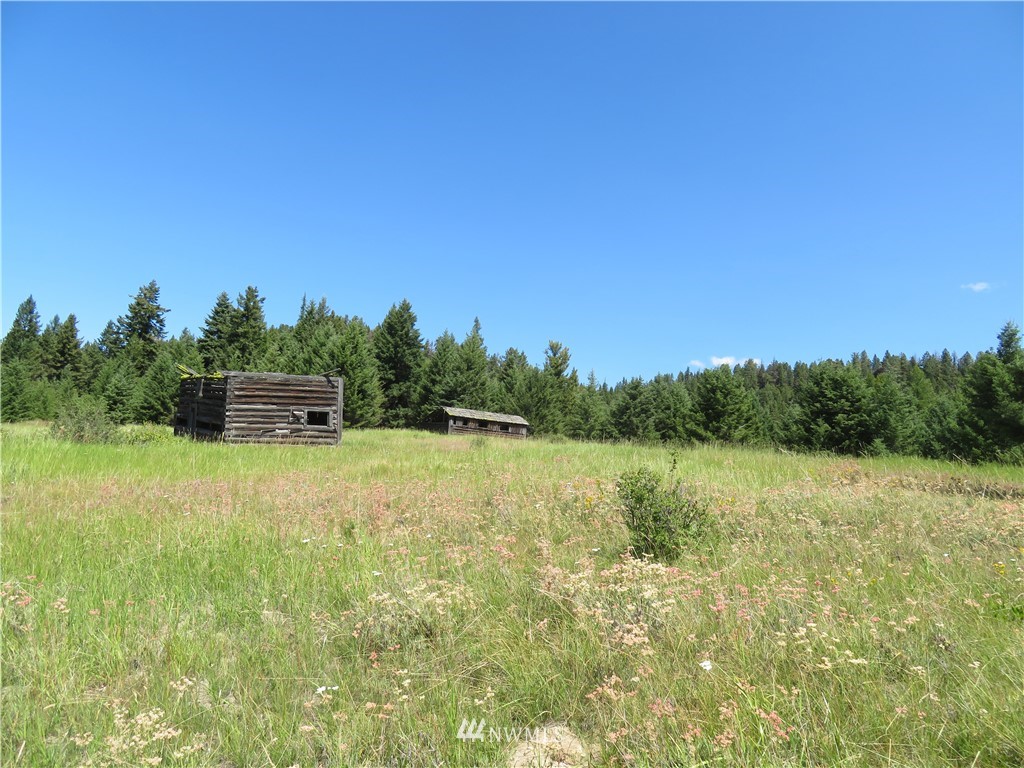6 Bonaparte Run Road Tonasket, WA 98855 - Photo 3 of 4 Gallery Image 3
