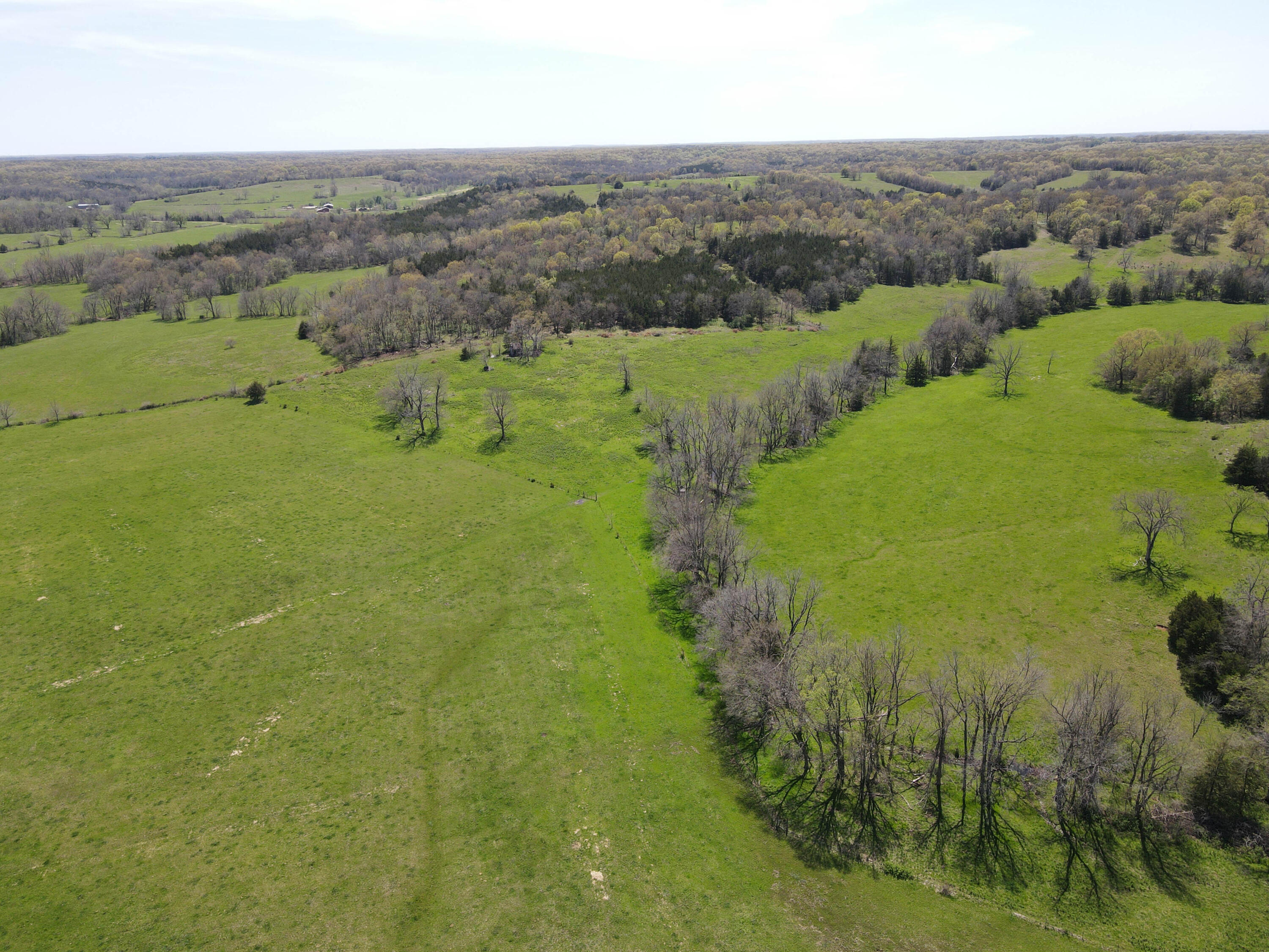1602 Northeast 1289th Road Osceola, MO 64776 - Photo 19 of 78 DJI_0679