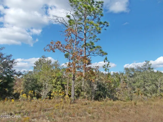 $44,400 | 0 Northwest Nw Cr, Fountain, FL 32438