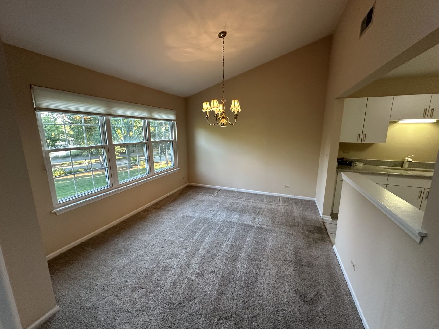 802 Butternut Lane, Unit C Mount Prospect, IL 60056 - Photo 6 of 19