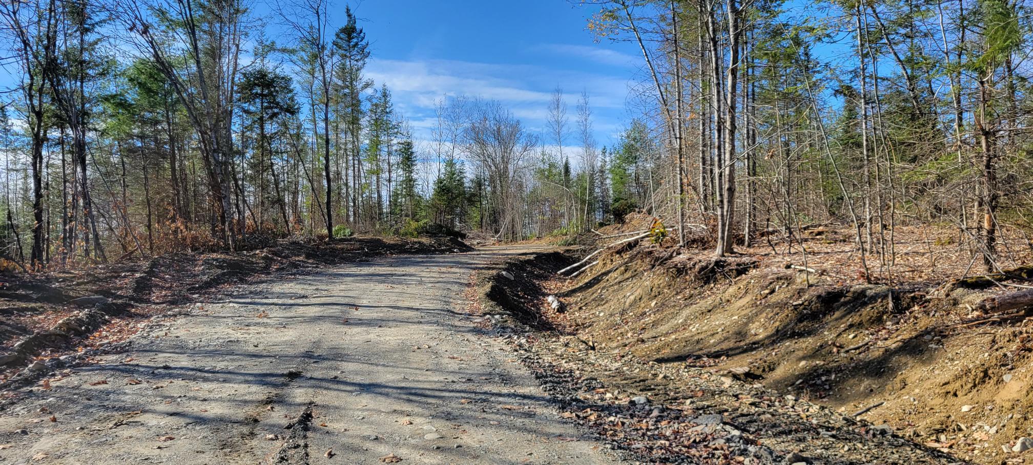 25-22 Back Troy Road Troy, ME 04987 - Photo 42 of 43 Woods road 2