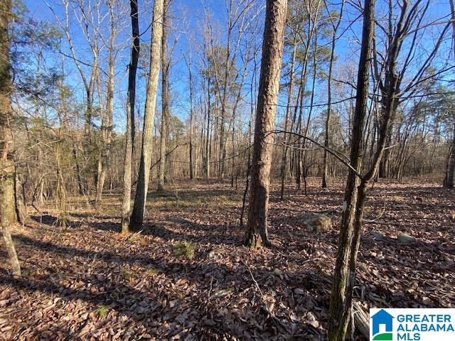 619 Ridge View Drive, Unit 5 ACRES Trussville, AL 35173 - Photo 13 of 20