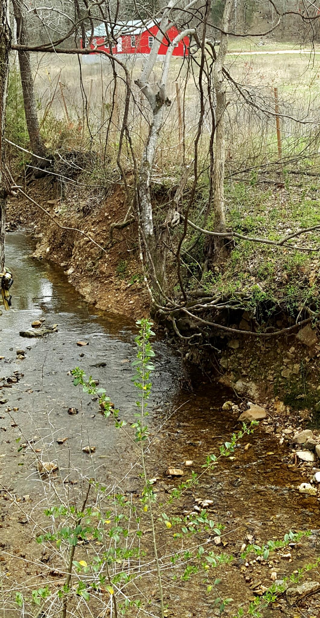 491 Upper Standing Rock Road Dover, TN 37058 - Photo 3 of 24 year round creek !