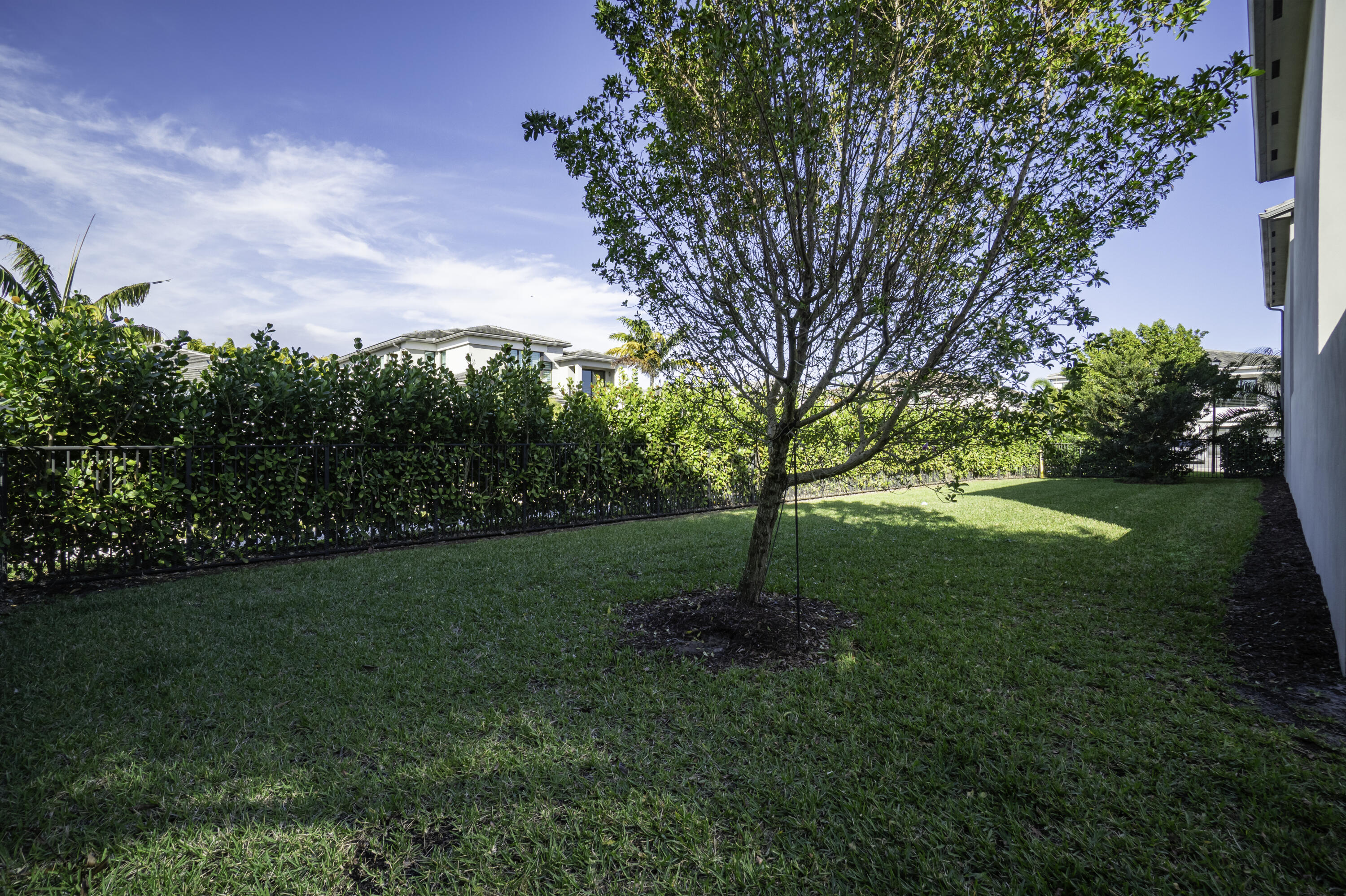 17081 Five Waters Avenue Boca Raton, FL 33496 - Photo 19 of 109 a view of a garden with a tree