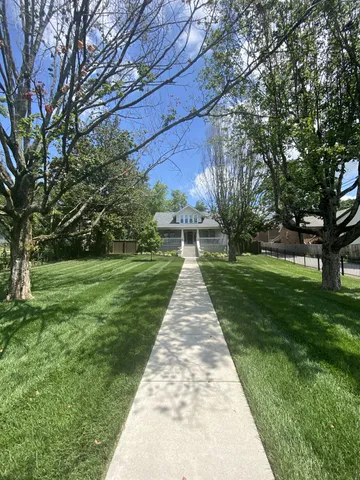 a park with large trees