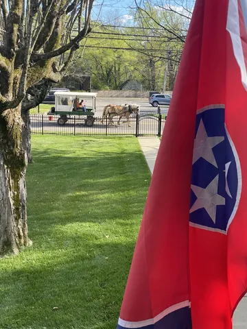 a view of a yard with a patio